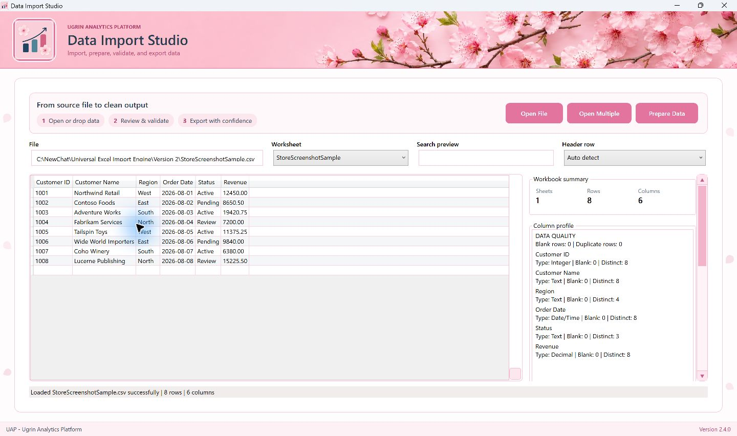 Data Import Studio Windows app workspace showing the import and preparation flow